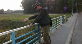 zdjęcie nr 7