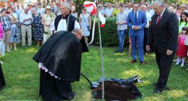 zdjęcie nr 55