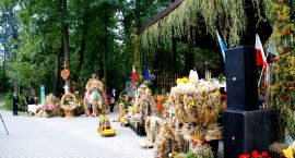 zdjęcie nr 20