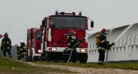 Fotka nr 5 z 8