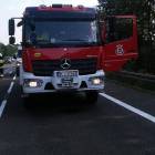 Fotka nr 4 z 5