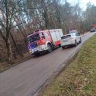 Fotka nr 2 z 3