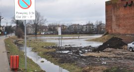 zdjęcie nr 12