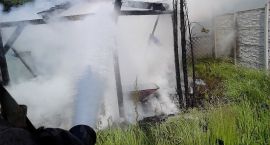 Fotka nr 2 z 10