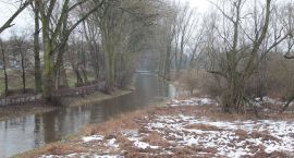 zdjęcie nr 30