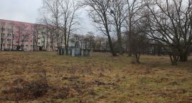 zdjęcie nr 9