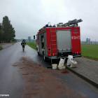 Fotka nr 2 z 3