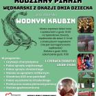 Fotka nr 5 z 7