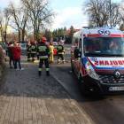 Fotka nr 5 z 10