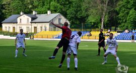 zdjęcie nr 19