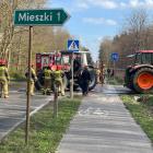 Fotka nr 5 z 11