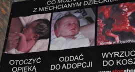 zdjęcie nr 11