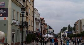 zdjęcie nr 16