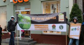 zdjęcie nr 10