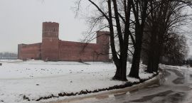 zdjęcie nr 11
