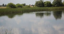 zdjęcie nr 36