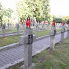 zdjęcie nr 27