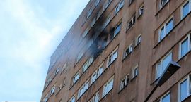 zdjęcie nr 9