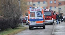 Fotka nr 1 z 9