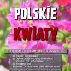 Fotka nr 0 z 1