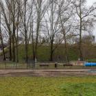 Fotka nr 1 z 13
