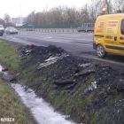 zdjęcie nr 7