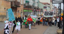 zdjęcie nr 34