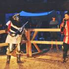 zdjęcie nr 191