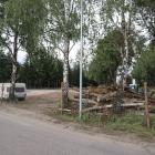 Fotka nr 1 z 12