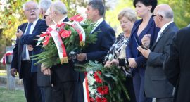 zdjęcie nr 24