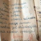 zdjęcie nr 13