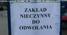 Fotka nr 4 z 21