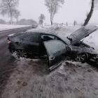 Fotka nr 4 z 7