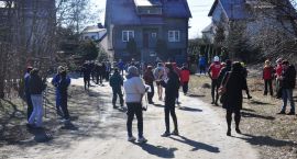 zdjęcie nr 15