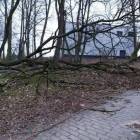zdjęcie nr 35