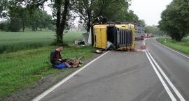 zdjęcie nr 14