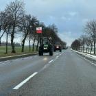 zdjęcie nr 11