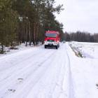 Fotka nr 2 z 3