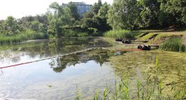 zdjęcie nr 10