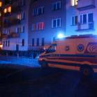 Fotka nr 1 z 17