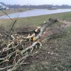 zdjęcie nr 7
