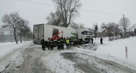 Fotka nr 3 z 17