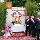 zdjęcie nr 17