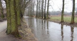 zdjęcie nr 34