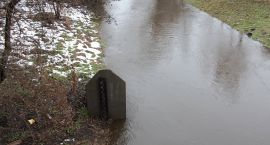 zdjęcie nr 46