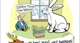 wez paragon