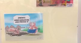 zdjęcie nr 21