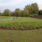 zdjęcie nr 34