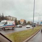 Fotka nr 5 z 6