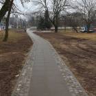 zdjęcie nr 9